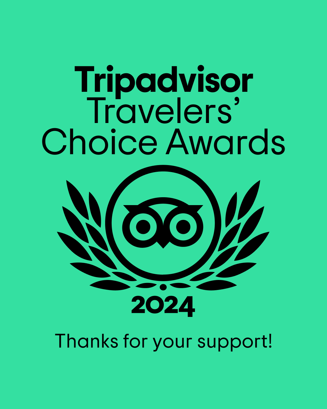 TripAdvisor Award Winner